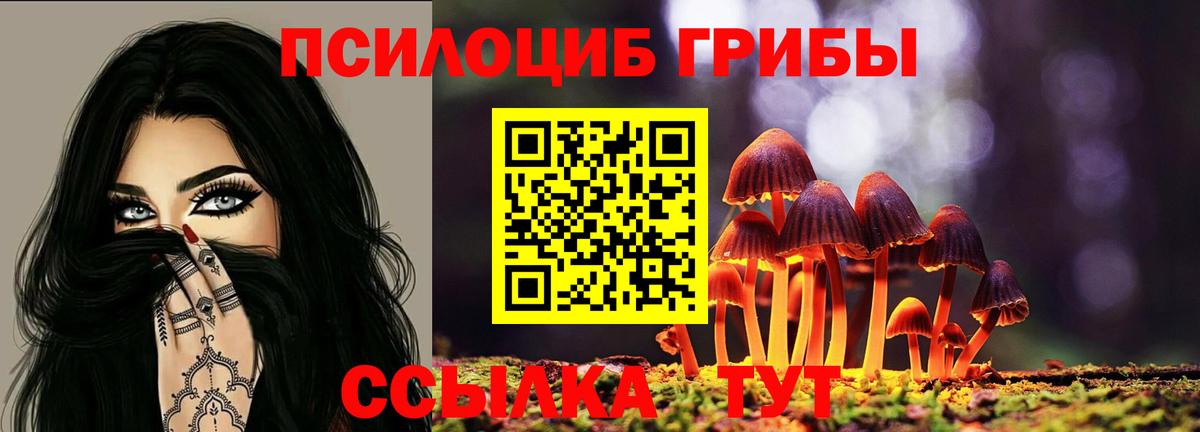 Галлюциногенные грибы мицелий  где купить наркотик  Пушкино  Вход с VPN 